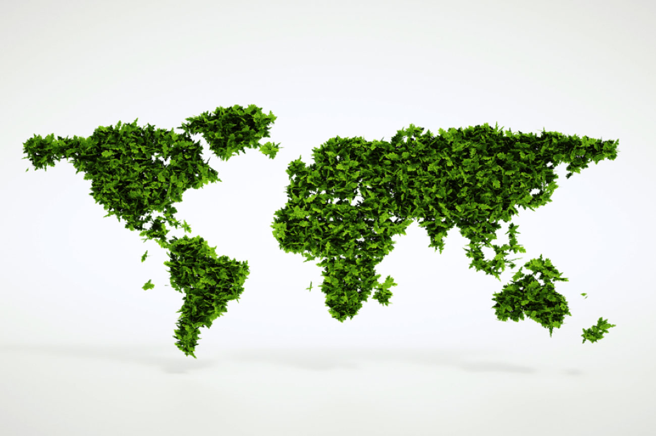 Producción sustentable: La relación de la industria con el ambiente